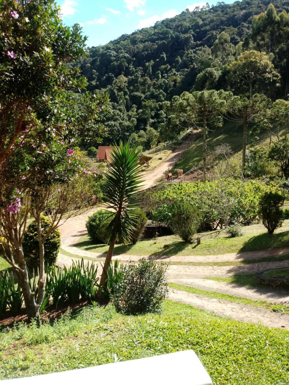 Chales Fazenda Vale Da Mata モンテ・ヴェルデ エクステリア 写真